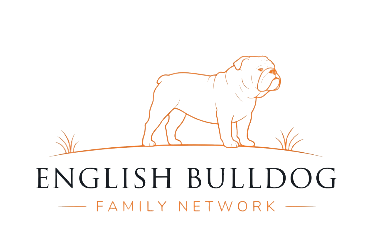 English Bulldog Puppies
